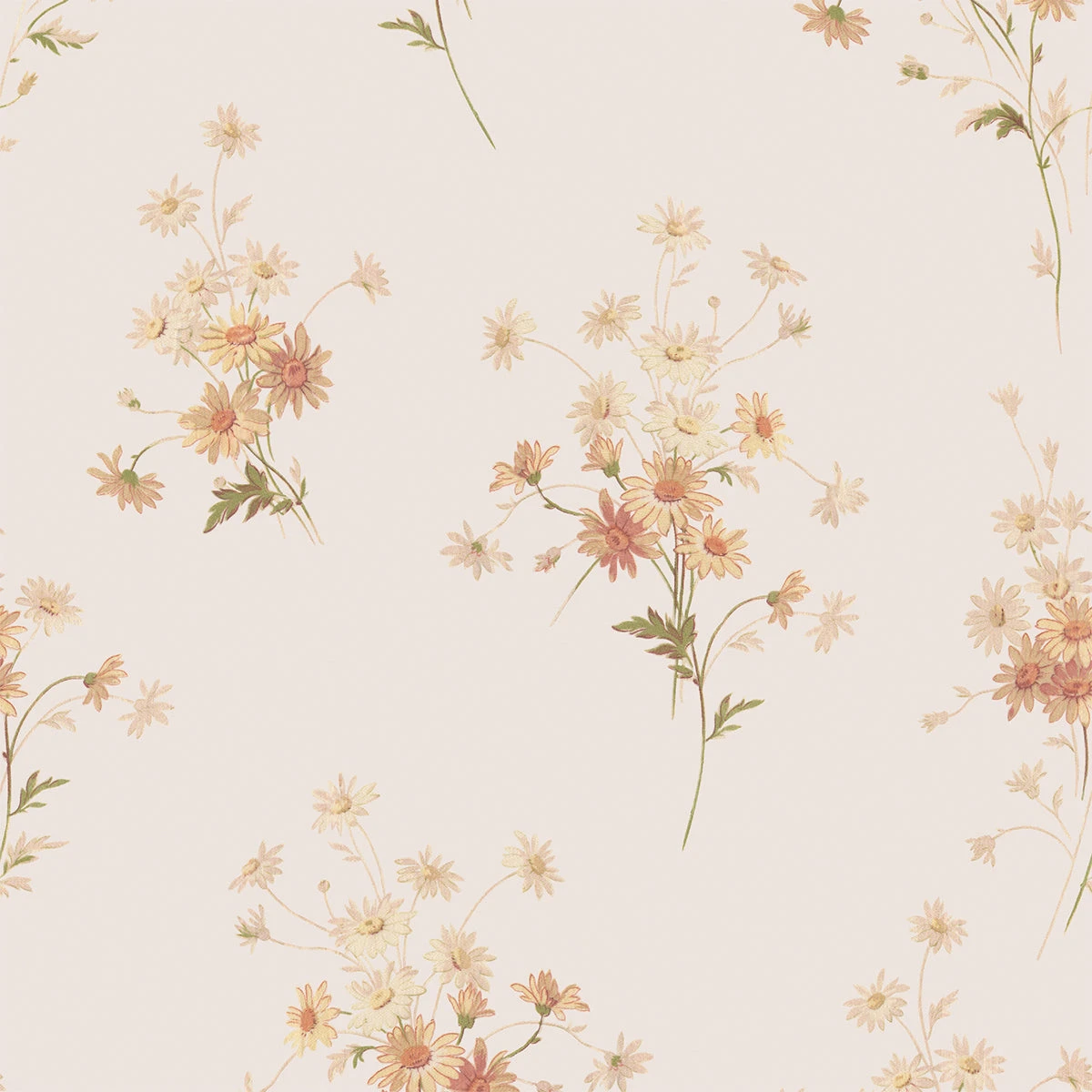 Cream Blush Daisy Bouquet Wallpaper 5 Cream Blush Daisy Bouquet Wallpaper - Image 3