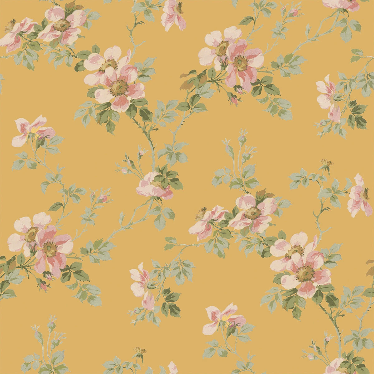 Butterscotch Field Rose Wallpaper 5 Butterscotch Field Rose Wallpaper - Image 3
