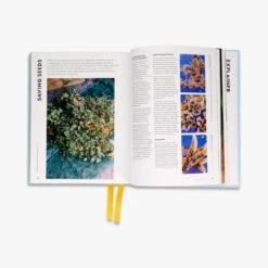 Super Bloom 9 Super Bloom -Home Luxury Store PiB Super Bloom Secondary 2