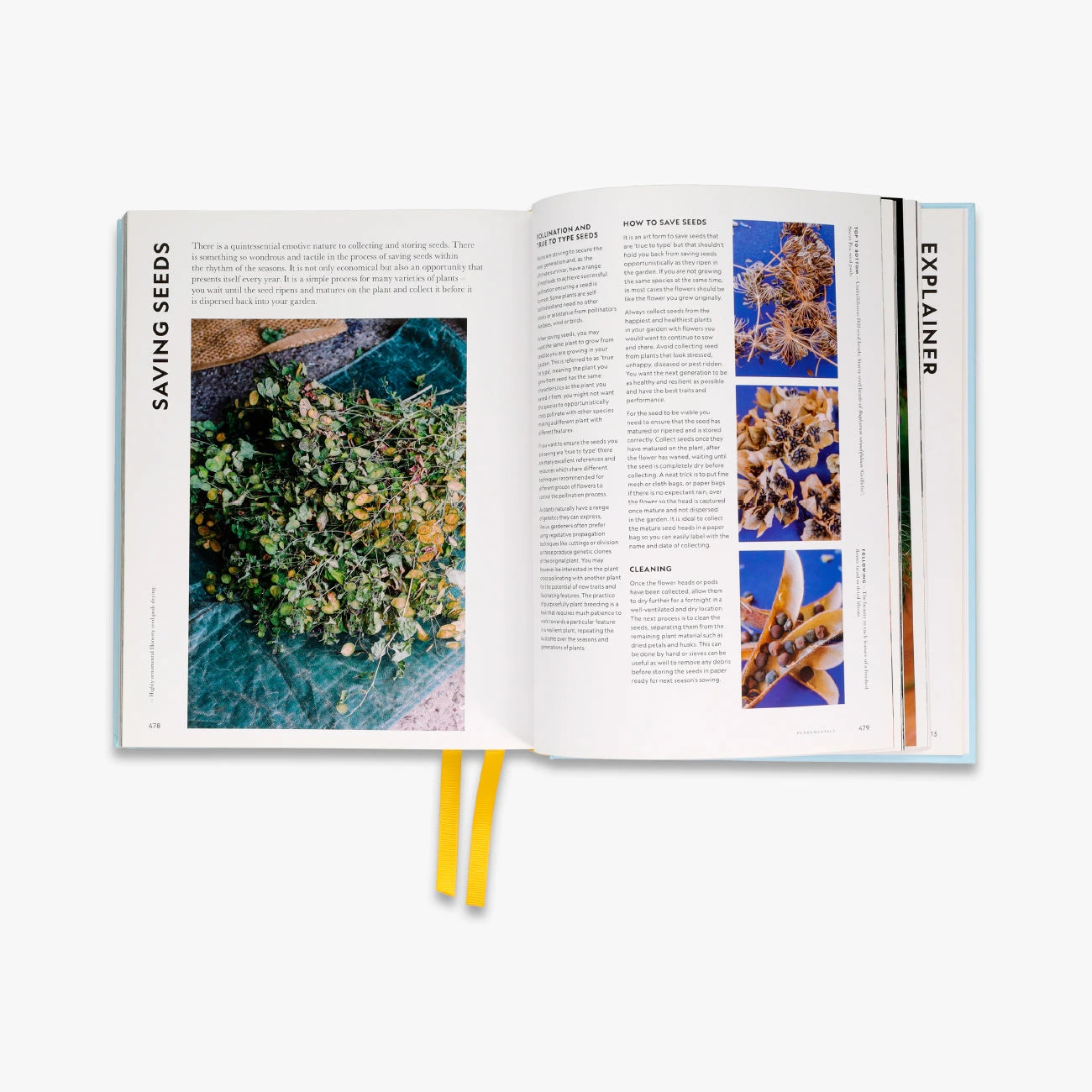 Super Bloom 5 Super Bloom - Image 3