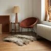 Mumbles Felted Wool Rug 2 Mumbles Felted Wool Rug -Home Luxury Store Piglet in Bed Mumbles Felted Wool Rug Icelandic 1